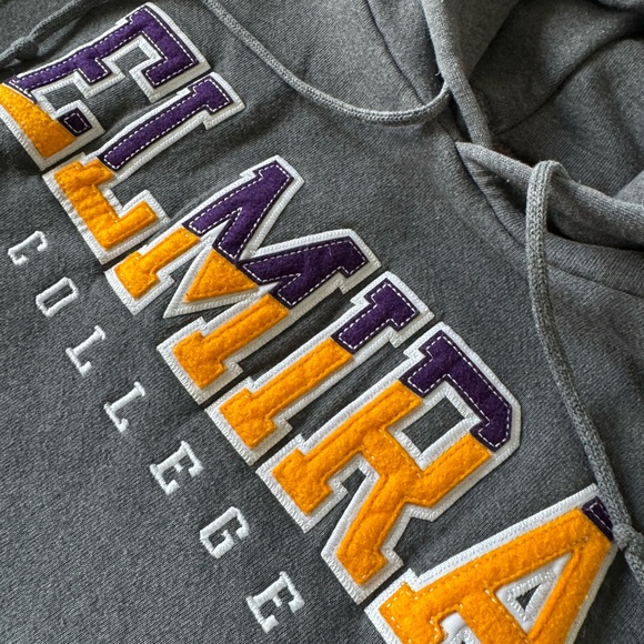 #261 The official Elmira College Soaring Eagles HOODIE. - Picture 4 of 12